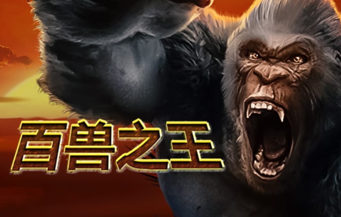 记者：马竞已开始谈若昂
